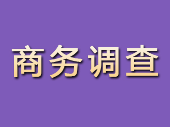 晋州商务调查